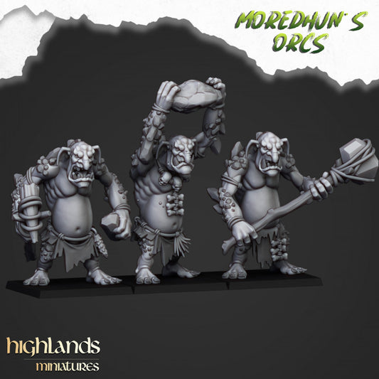 Moredhun's Orcs Cave Trolls