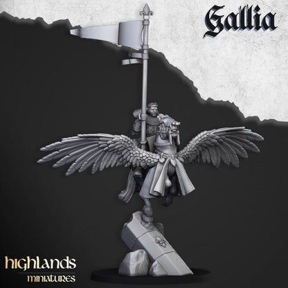 Kingdom of Gallia Knights on Pegasus Command Group