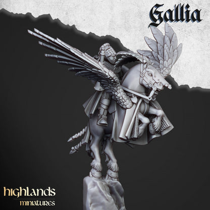 Kingdom of Gallia Knights on Pegasus Command Group