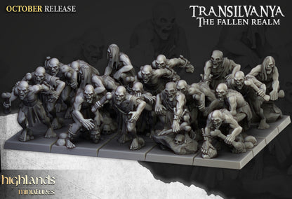 Transilvanya The Fallen Realm Ghouls