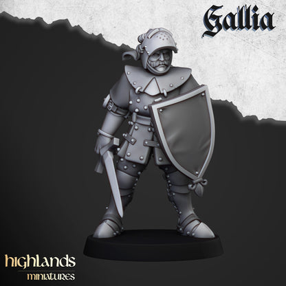 Kingdom of Gallia Foot Knights