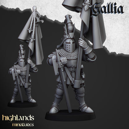 Kingdom of Gallia Foot Knights