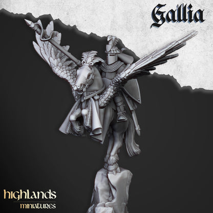 Kingdom of Gallia Knights on Pegasus