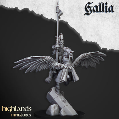 Kingdom of Gallia Knights on Pegasus