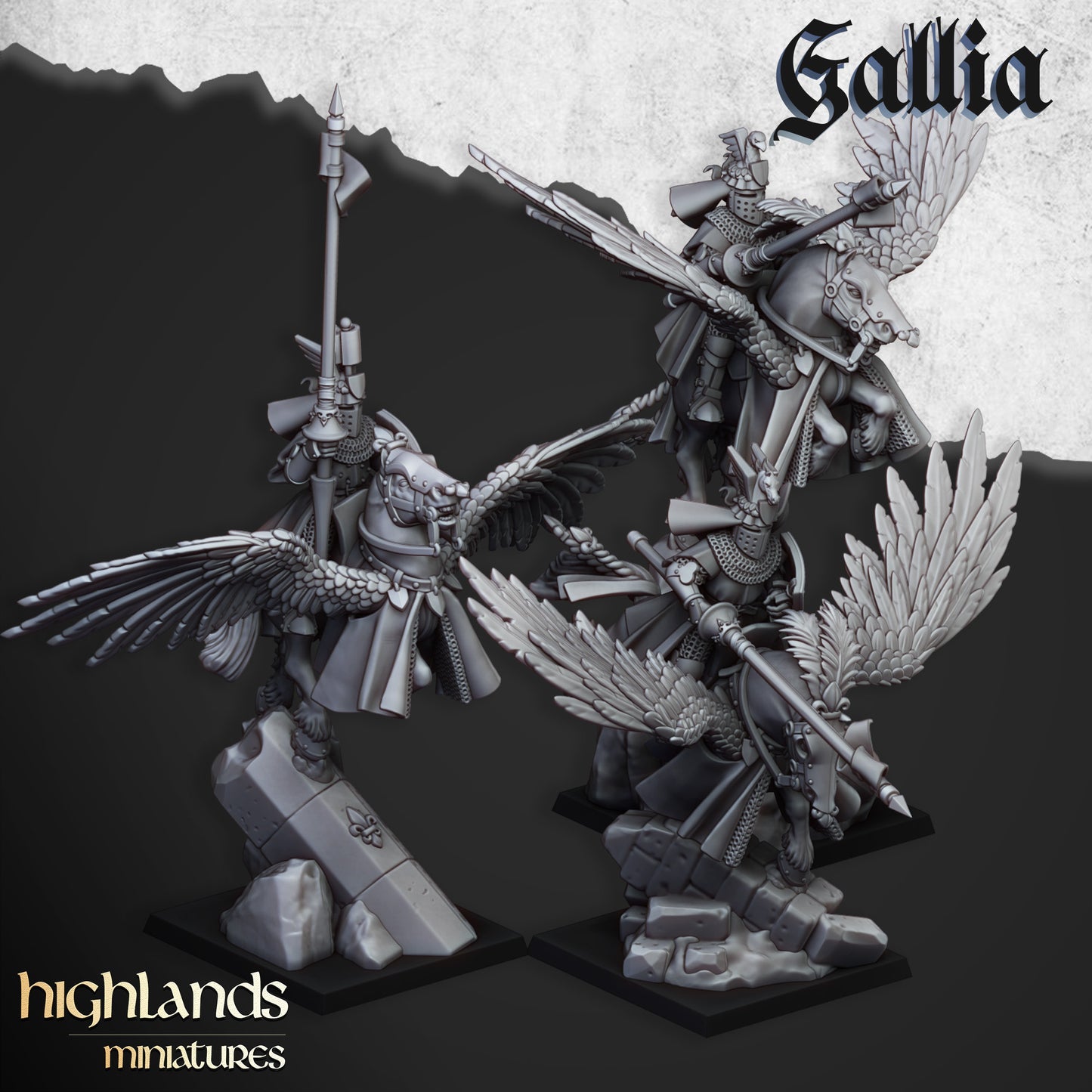 Kingdom of Gallia Knights on Pegasus