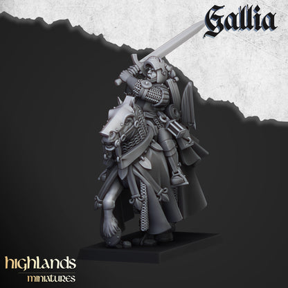 Kingdom of Gallia Questing Knights