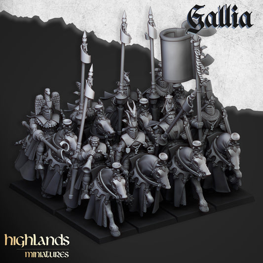 Kingdom of Gallia Royal Knights