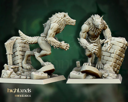 Transilvanya The Fallen Realm Werewolves Unit