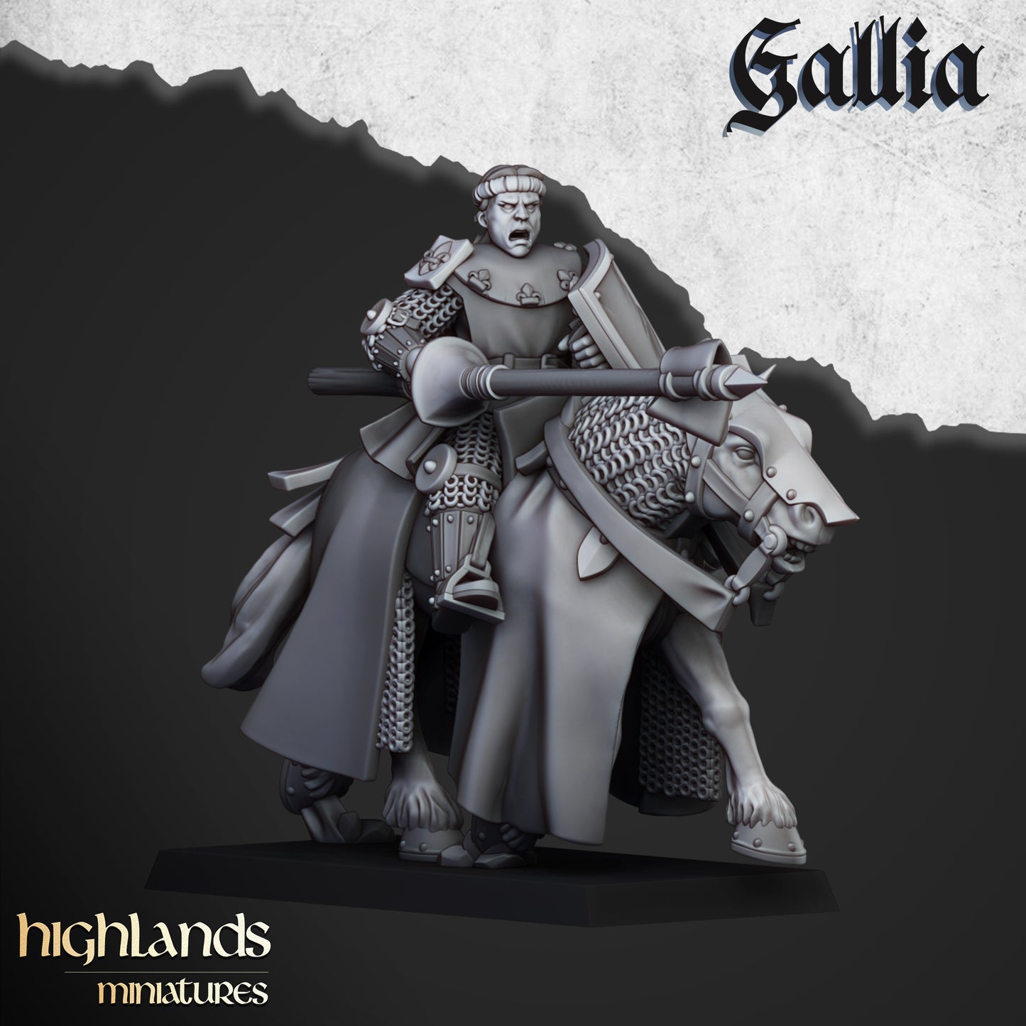 Kingdom of Gallia Young Knights