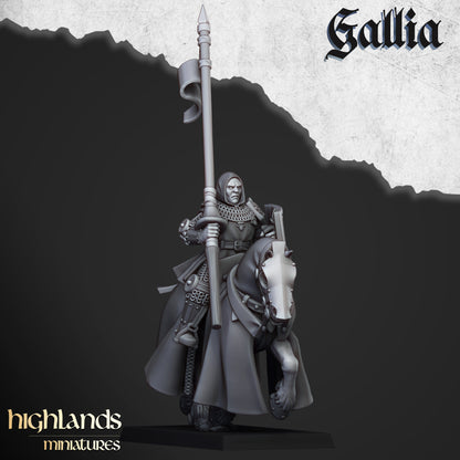 Kingdom of Gallia Young Knights