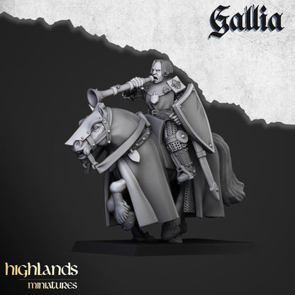 Kingdom of Gallia Young Knights