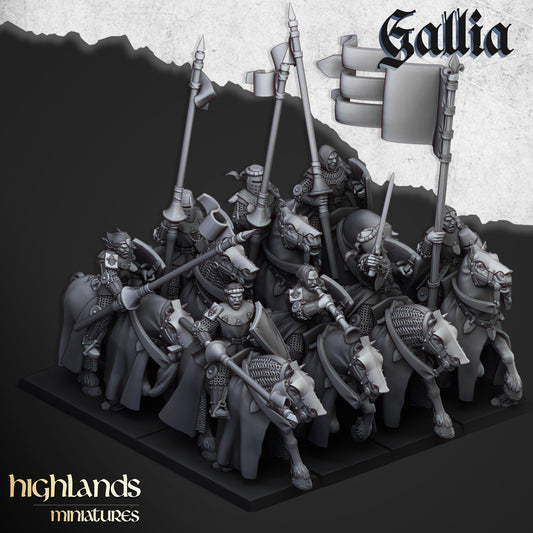 Kingdom of Gallia Young Knights