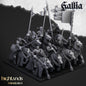 Kingdom of Gallia Young Knights